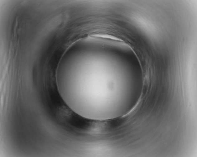 X0000088410191200706051200