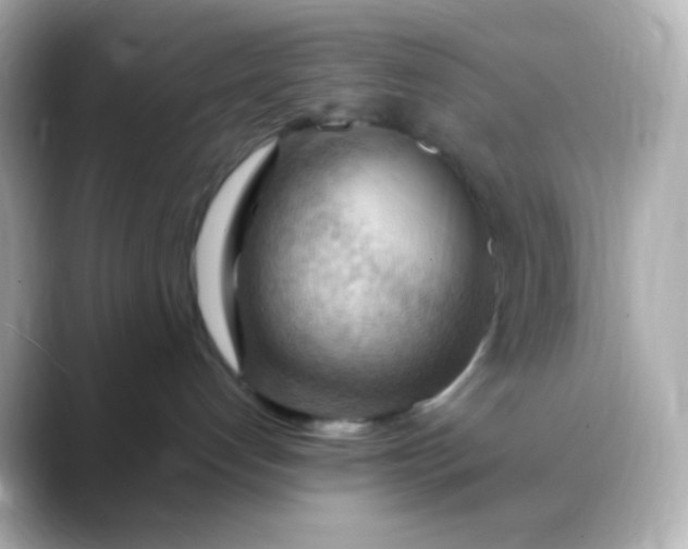 X0000088410192200706051200