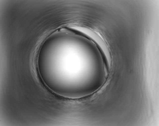 X0000088410193200706051200