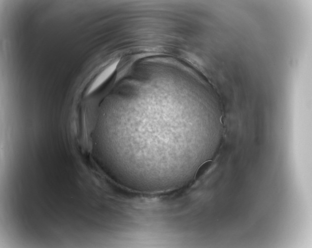 X0000088410194200706051200