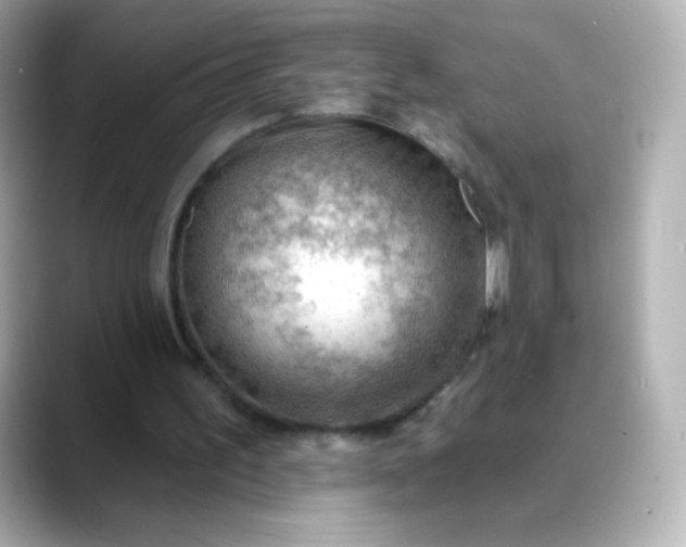 X0000088410195200706051200