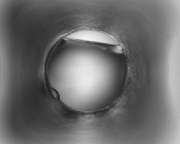 X0000088410196200706051200