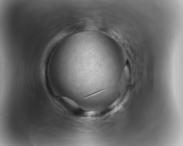 X0000088410197200706051200