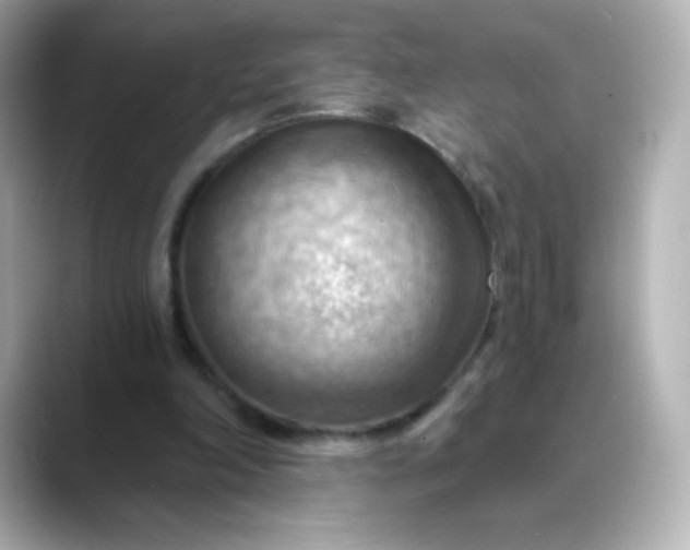 X0000088410198200706051200