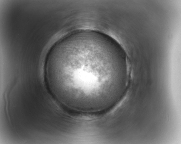 X0000088410199200706051200