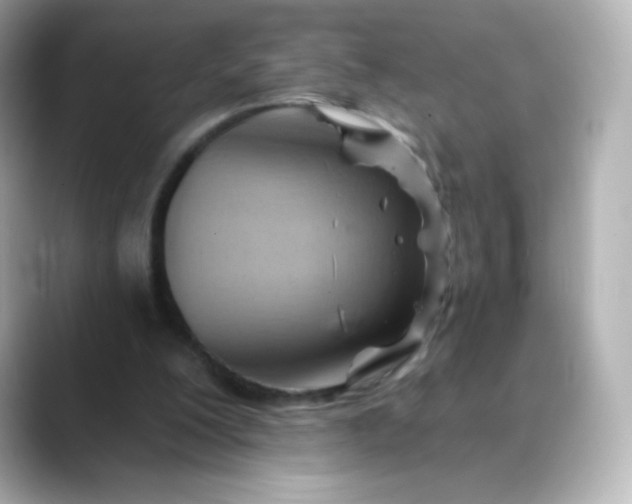 X0000088410200200706051159