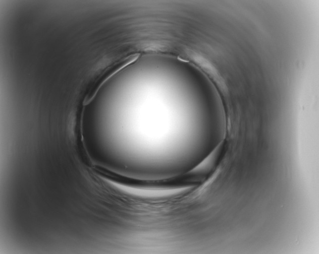 X0000088410201200706051159