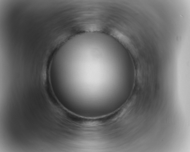 X0000088410202200706051159