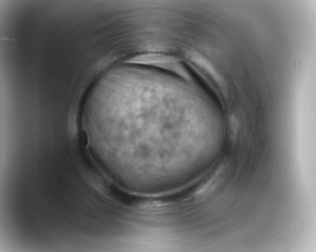 X0000088410203200706051159