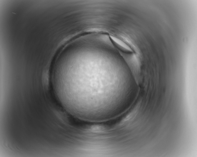 X0000088410204200706051159