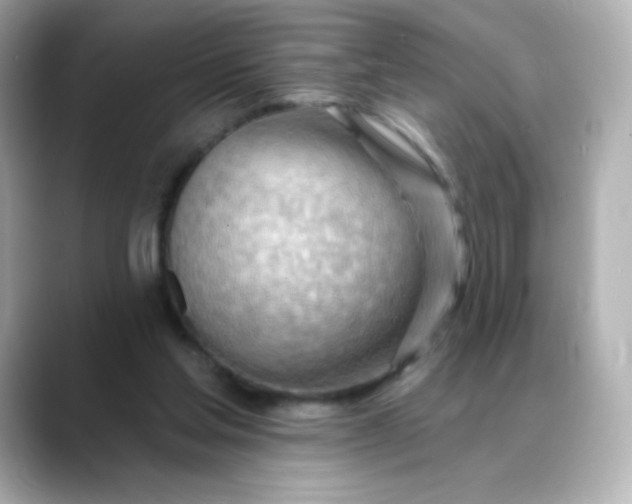 X0000088410205200706051159