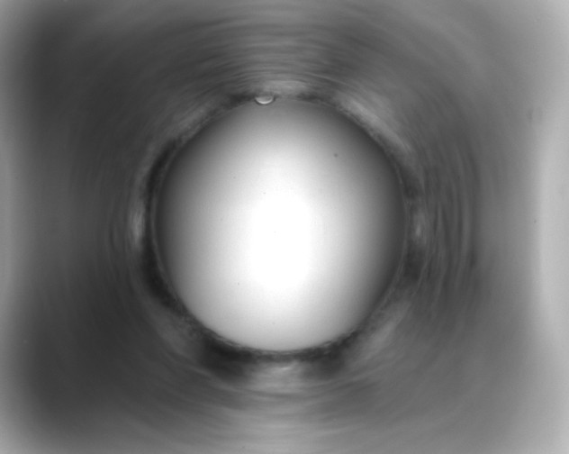 X0000088410206200706051159