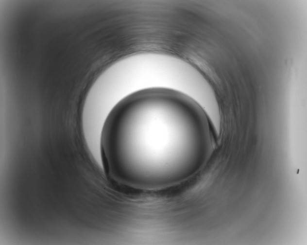 X0000088410207200706051159