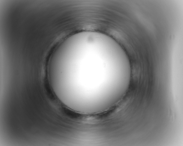 X0000088410208200706051159