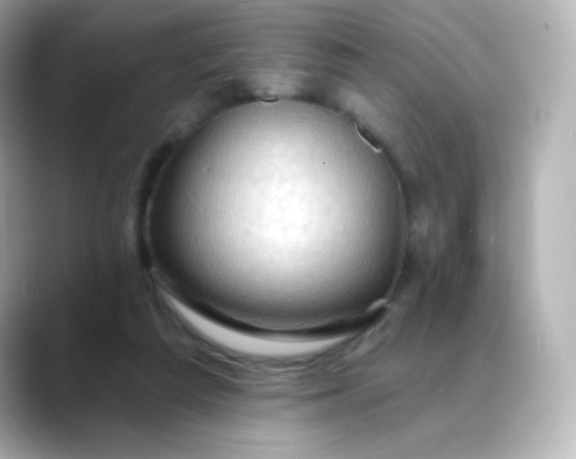 X0000088410209200706051159