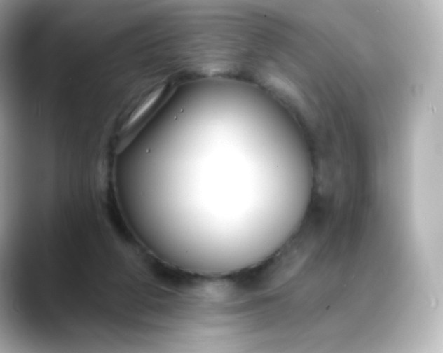 X0000088410210200706051159