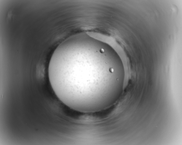 X0000088410211200706051159