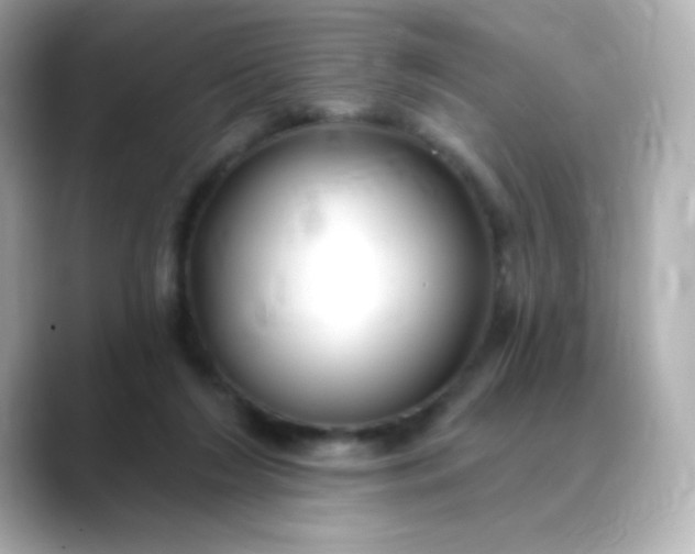 X0000088410212200706051159