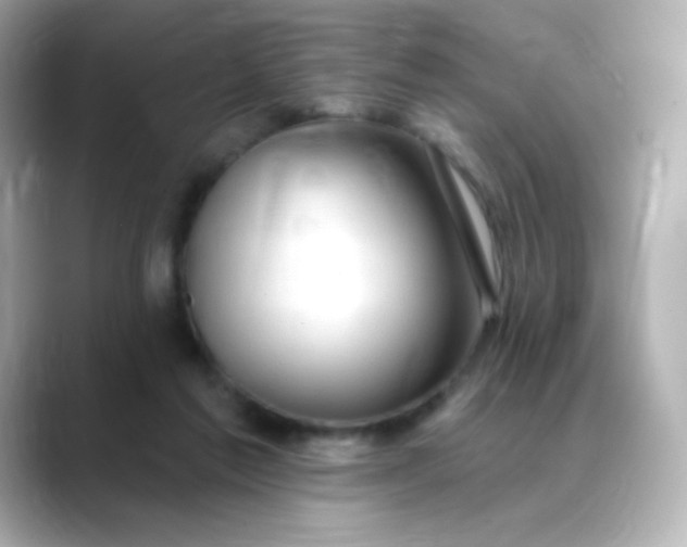 X0000088410213200706051159