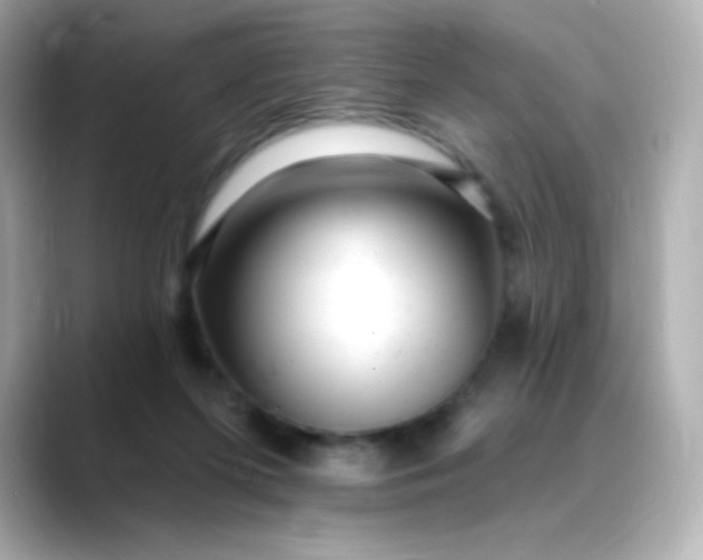 X0000088410215200706051159