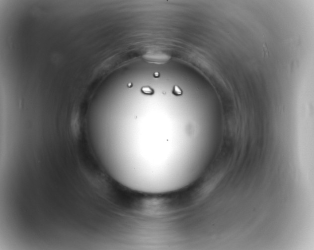 X0000088410216200706051159