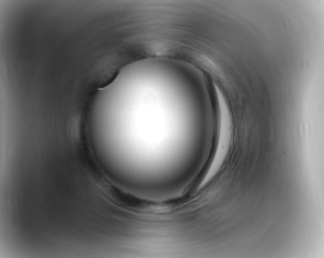 X0000088410217200706051159