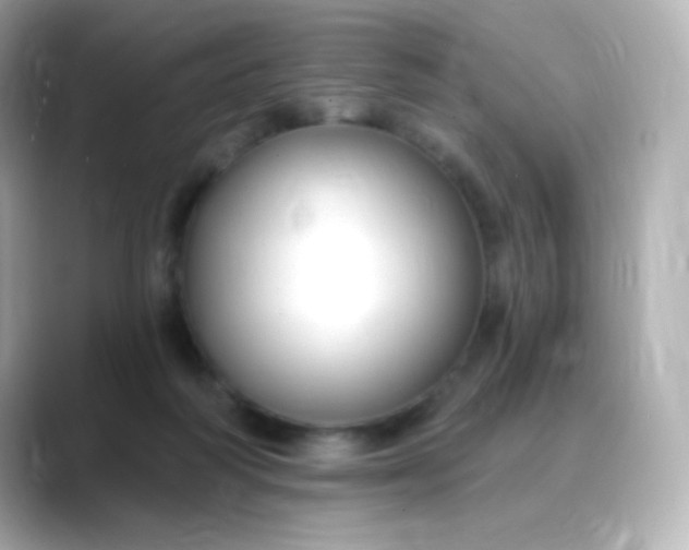 X0000088410218200706051159