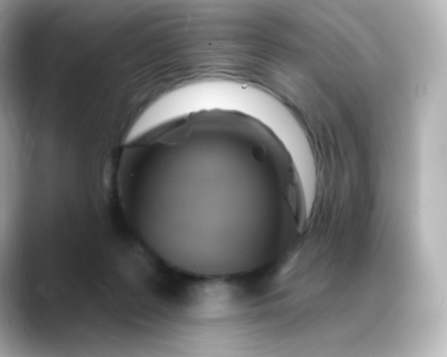 X0000088410219200706051159