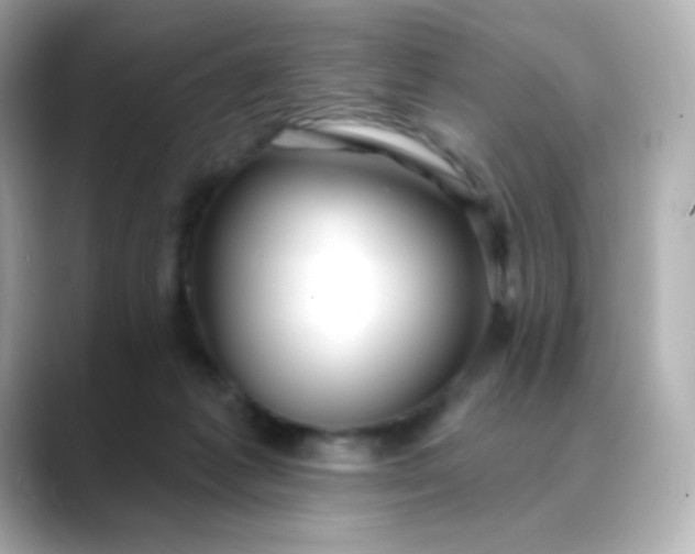 X0000088410221200706051159