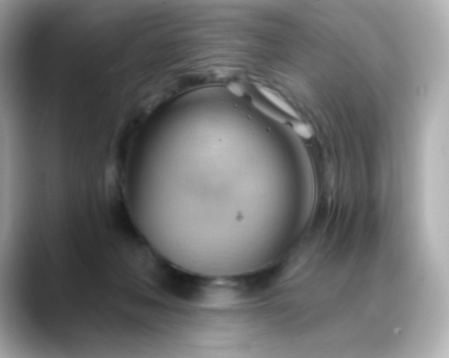 X0000088410222200706051159