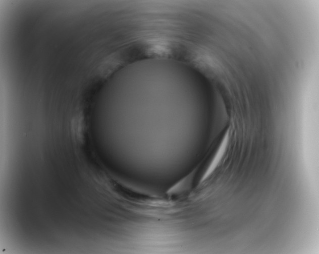 X0000088410223200706051159