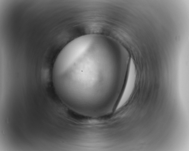 X0000088410224200706051159