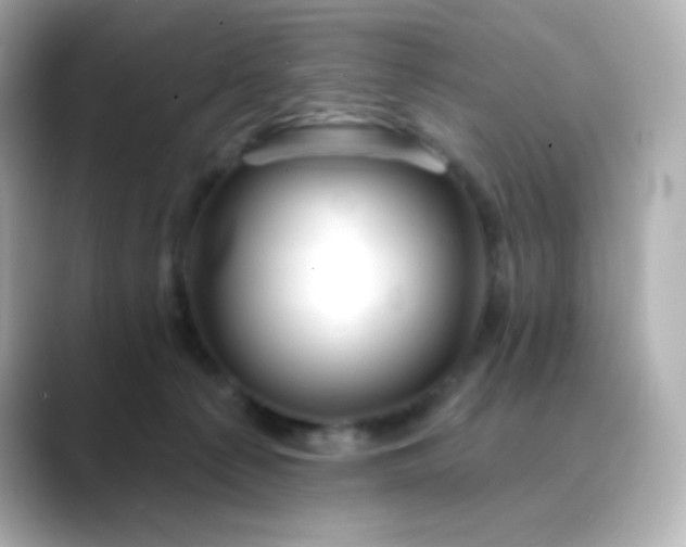 X0000088410225200706051159