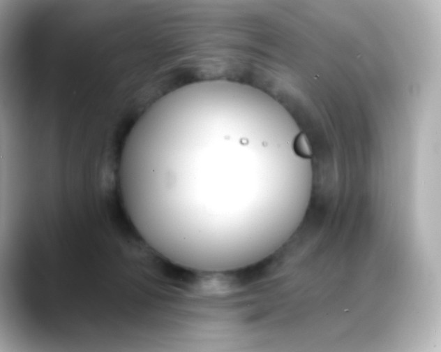 X0000088410226200706051159