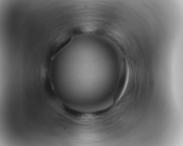 X0000088410227200706051159