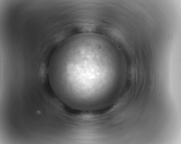 X0000088410228200706051159