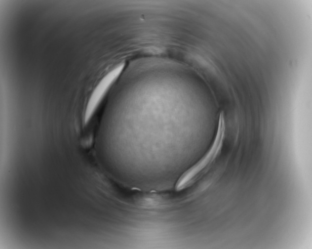 X0000088410229200706051159