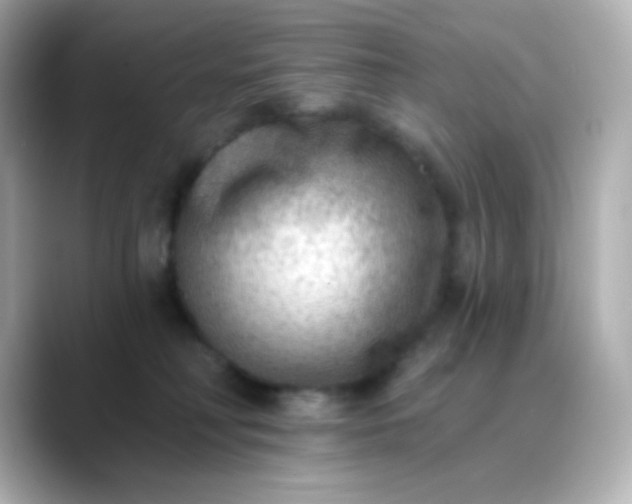 X0000088410230200706051159