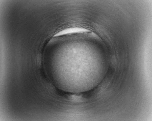 X0000088410232200706051159