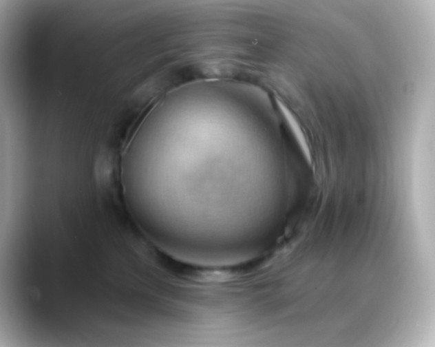 X0000088410233200706051159