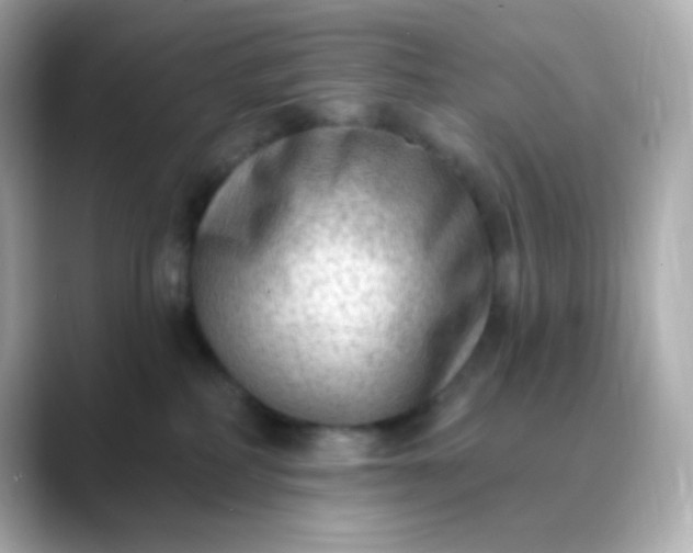 X0000088410234200706051159