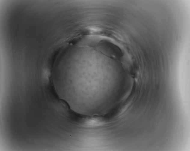 X0000088410235200706051159