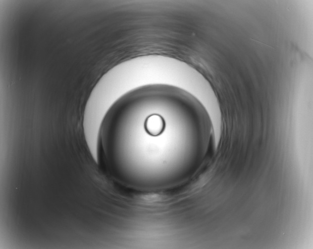 X0000088410237200706051159