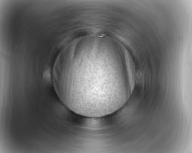 X0000088410238200706051159