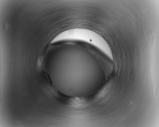 X0000088410239200706051159