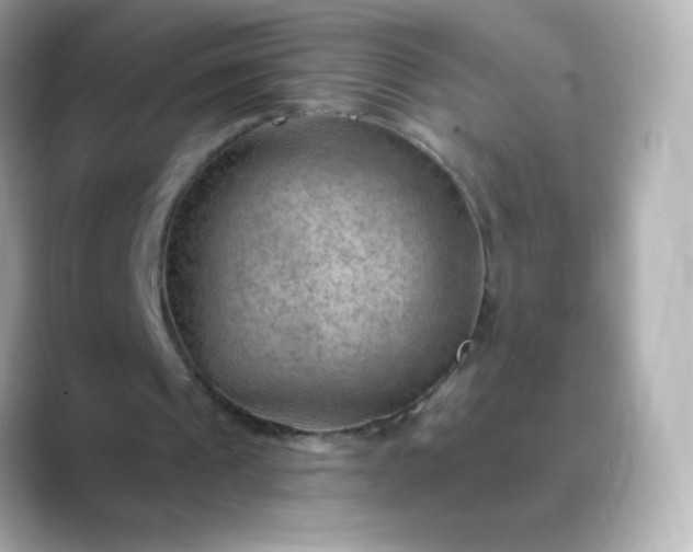 X0000088410241200706051158