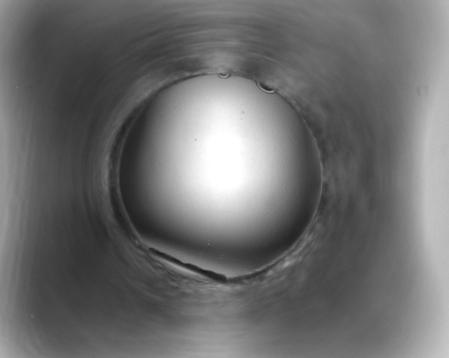 X0000088410242200706051158