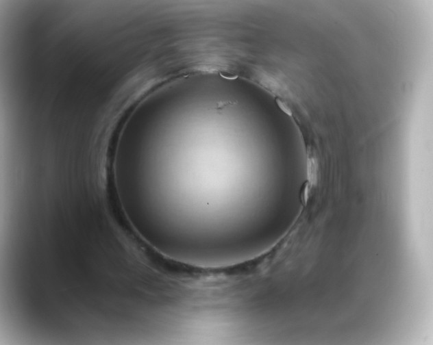 X0000088410243200706051159