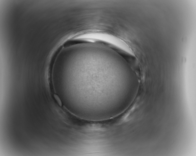 X0000088410244200706051159