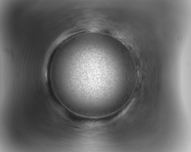 X0000088410246200706051159